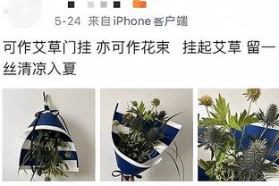 药厂真稳了⁉️拜仁先赛被绝平，药厂若胜科隆将领先10分